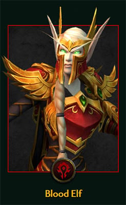 A Blood Elf in the official site of World of Warcraft