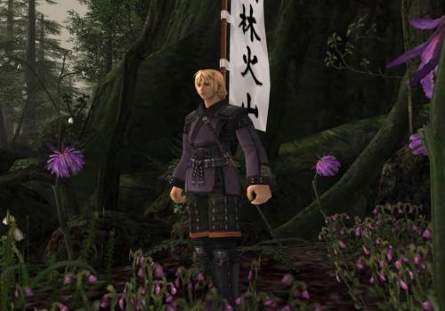 Final Fantasy XI Samurai Guide