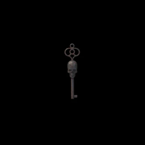 Skull Key*1