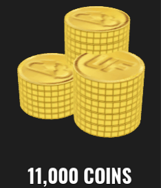 11000 Coins