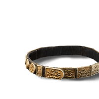 Tiger Tendon Belt