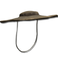 Dane's Hat