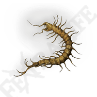 Golden Centipede *999