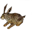 Brown Rabbit