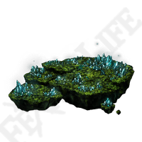 Crystal Cave Moss *999