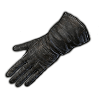 Preceptor's Gloves