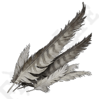 Stormhawk Feather *999