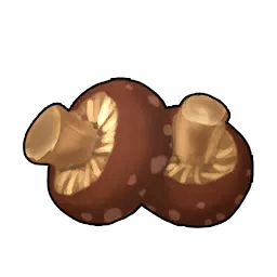 Baked Mushroom * 999
