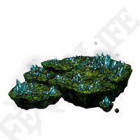 Crystal Cave Moss *999