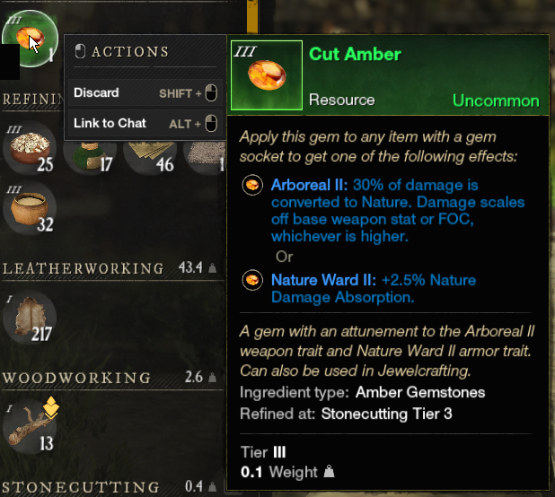 New World Amber Gem