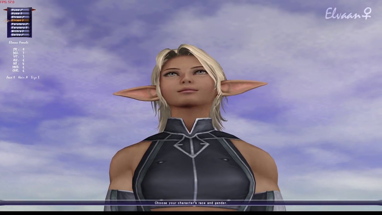FFXI Character Creation - Facial Features