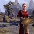 How to Play Solo in The Elder Scrolls Online