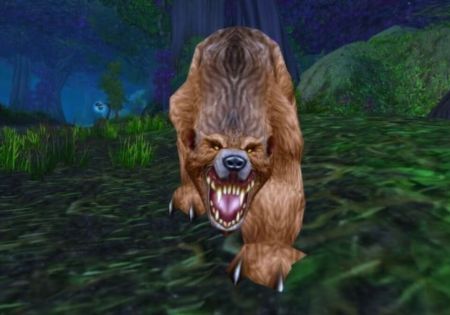 WoW Classic Season of Discovery Guide to Finding Elder Ashenvale Bear