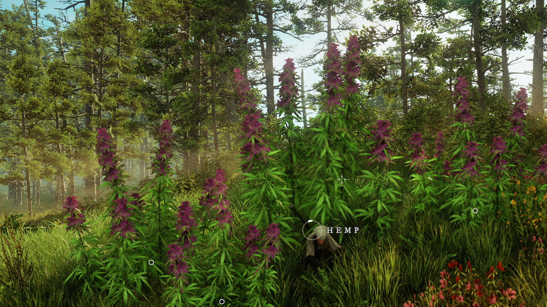 How to Find and Collect Hemp in New World