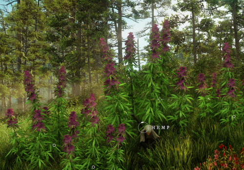 How to Find and Collect Hemp in New World